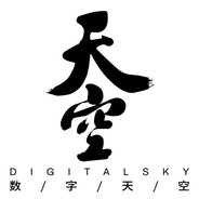 Digital Sky Logo